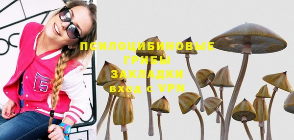 спайс Заволжье