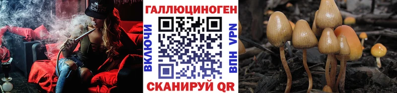 Галлюциногенные грибы Magic Shrooms  наркотики  Красавино 